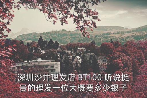 深圳天價理發(fā)店，深圳哪里的發(fā)廊電發(fā)手藝比較好又便宜怎么去