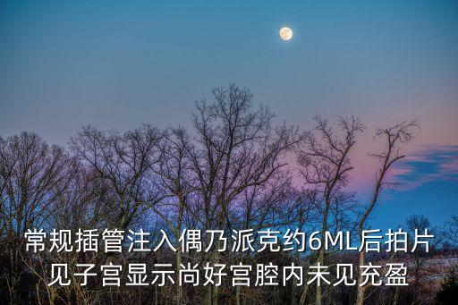 東莞高分子防潮封堵劑價格，常規插管注入偶乃派克約6ML后拍片見子宮顯示尚好宮腔內未見充盈