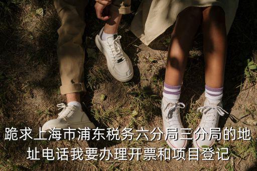 跪求上海市浦東稅務六分局三分局的地址電話我要辦理開票和項目登記