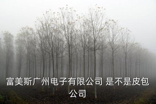 廣州蘿崗富美斯電子廠，富美斯廣州電子有限公司怎么樣畢業生在人事部發展前景好嗎