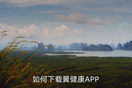 如何下載翼健康APP