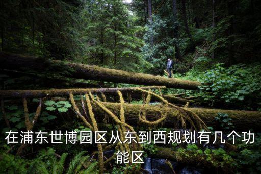 在浦東世博園區從東到西規劃有幾個功能區