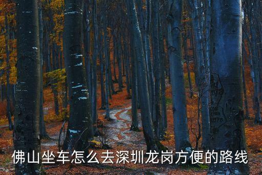 佛山坐車怎么去深圳龍崗方便的路線