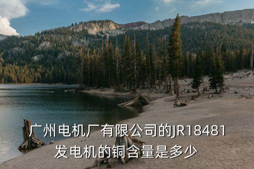 廣州發電機廠，廣州電機廠有限公司的JR18481發電機的銅含量是多少