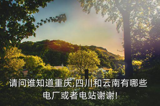 珞璜電廠,華能國際電力股份有限公司電廠上安電廠邯鄲電廠中原電廠