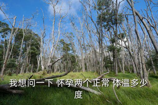 懷孕體溫,懷孕初期體溫變化大嗎?專家:正常的生理現象