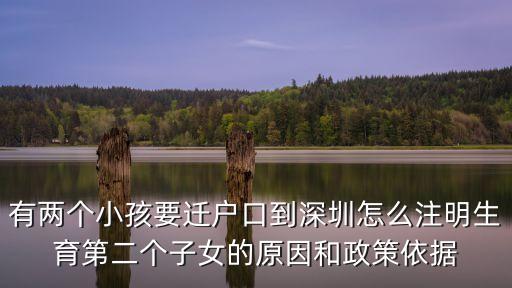 深圳市政府292號令附件，深圳市人才安居暫行辦法的基本信息