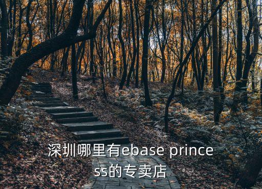 深圳哪里有ebase princess的專賣店