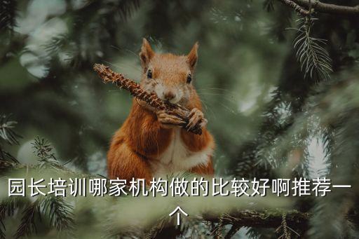 上海市校長書記園長暑期培訓班，朋友知道上海幼兒園園長資格證具體怎么考嗎