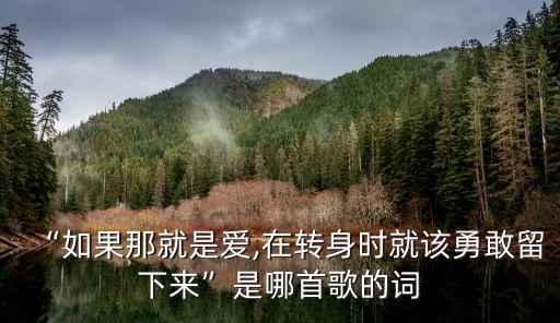 如果這就是愛,如果這就是愛如何選擇?