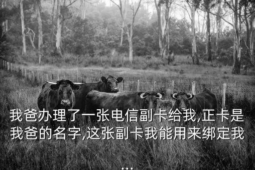 我爸辦理了一張電信副卡給我,正卡是我爸的名字,這張副卡我能用來(lái)綁定我...