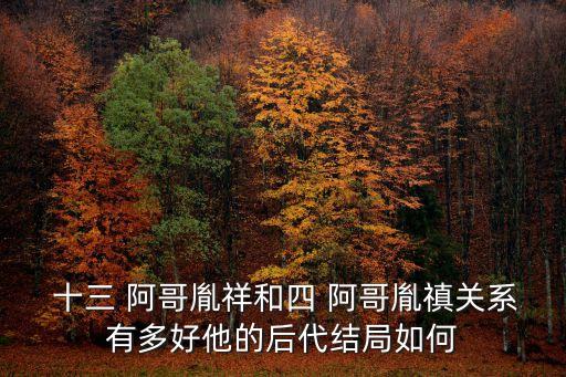  十三 阿哥胤祥和四 阿哥胤禛關系有多好他的后代結局如何