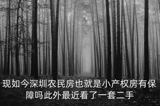 現如今深圳農民房也就是小產權房有保障嗎此外最近看了一套二手