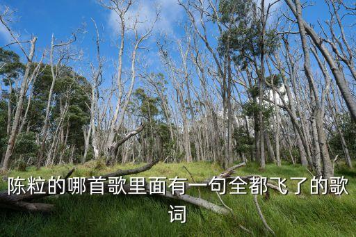陳粒歌詞，陳粒 pony歌詞翻譯