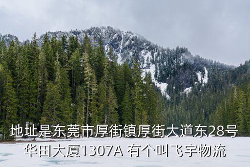 地址是東莞市厚街鎮厚街大道東28號華田大廈1307A 有個叫飛宇物流