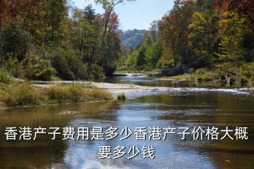 深圳 香港剖腹產(chǎn)，想去香港生孩子深圳哪家醫(yī)院有赴港產(chǎn)子待產(chǎn)服務(wù)