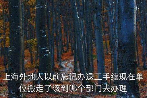 上海市寶山區(qū)辦理退工在哪里，上海市寶山區(qū)勞動(dòng)保障局在那里什么路上