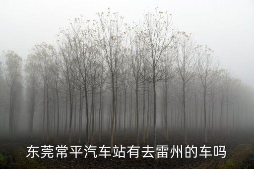 東莞常平有回雷州的車嗎，東莞常平汽車站有去雷州的車嗎