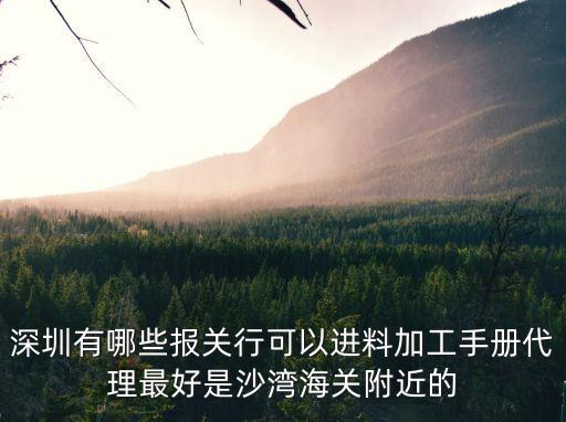 深圳有哪些報關行可以進料加工手冊代理最好是沙灣海關附近的