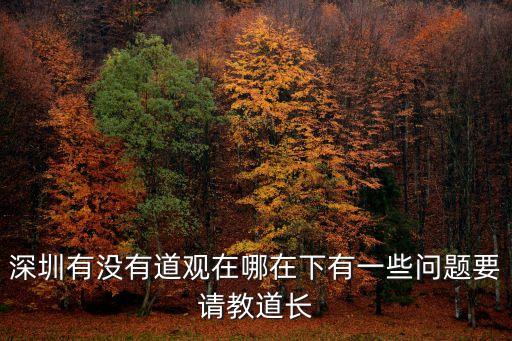深圳道藏，請問深圳有哪些寺廟或道觀和具體地址我想要聽高僧講經