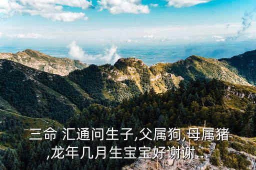 三命匯通,甲申日三命匯通