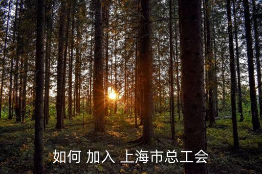 上海市總工會咨詢，如何 加入 上海市總工會