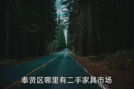 上海市奉賢區哪里有二手家電商店，請問奉賢區哪里有二手貨交易市場