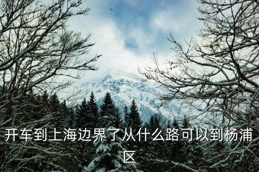 開車到上海邊界了從什么路可以到楊浦區