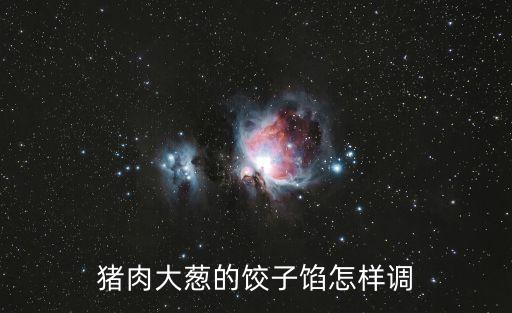 豬肉大蔥餃子餡怎么調(diào)好吃，豬肉大蔥餡的餃子怎么調(diào)才好吃