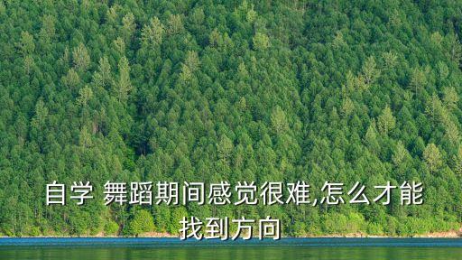  自學 舞蹈期間感覺很難,怎么才能找到方向