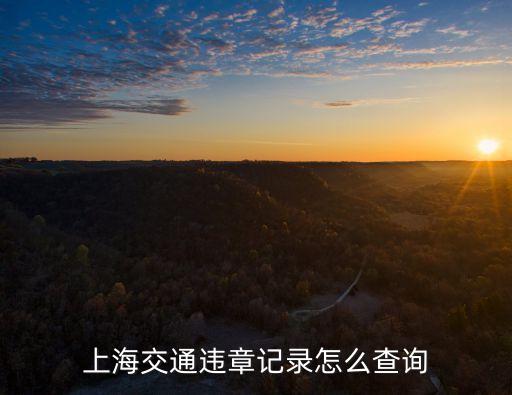 上海交通違章記錄怎么查詢