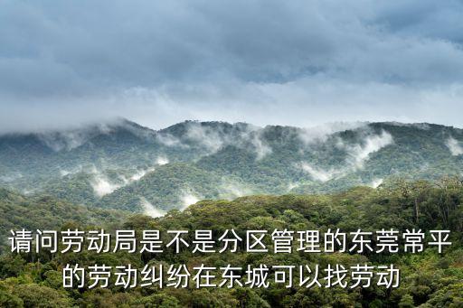 請問勞動(dòng)局是不是分區(qū)管理的東莞常平的勞動(dòng)糾紛在東城可以找勞動(dòng)