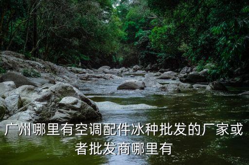廣州壓縮機配件廠，廣州哪里有空調配件冰種批發的廠家或者批發商哪里有