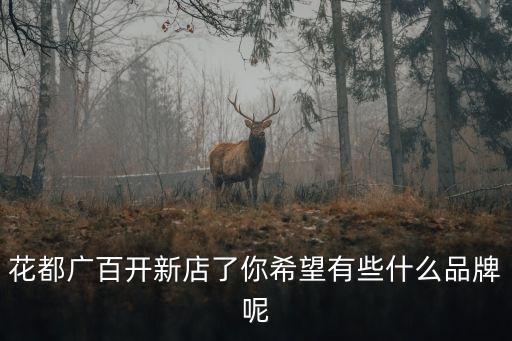 廣州廣百服裝品牌，花都廣百開新店了你希望有些什么品牌呢