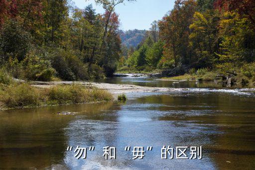 毋,沒必要!毫無疑問!王朔的回應(yīng)