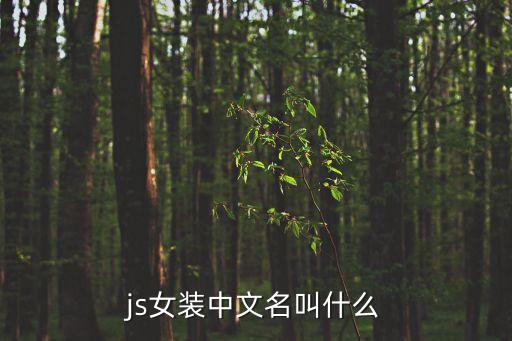深圳ajs女裝，哈爾濱中央大街的百盛二樓女裝有個牌子開頭是A結尾是A的牌子是什么牌子