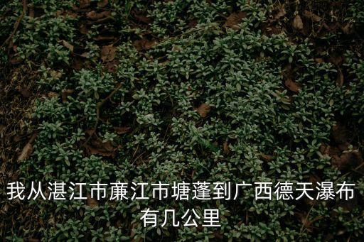 我從湛江市亷江市塘蓬到廣西德天瀑布有幾公里