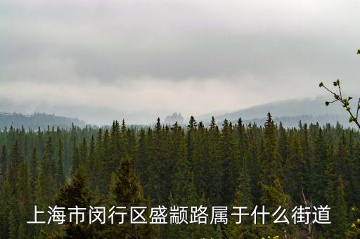 上海市閔行區(qū) 盛路，上海市閔行區(qū)盛顓路屬于什么街道