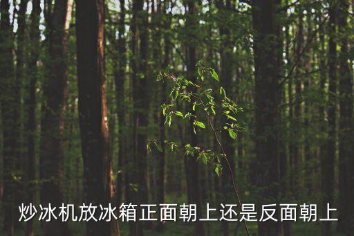 炒冰機放冰箱正面朝上還是反面朝上