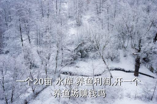 一個(gè)20畝 水庫(kù) 養(yǎng)魚(yú)利潤(rùn),開(kāi)一個(gè) 養(yǎng)魚(yú)場(chǎng)賺錢(qián)嗎