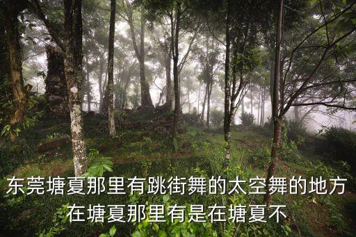 東莞塘夏那里有跳街舞的太空舞的地方在塘夏那里有是在塘夏不