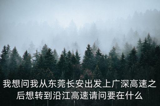 我想問我從東莞長安出發上廣深高速之后想轉到沿江高速請問要在什么