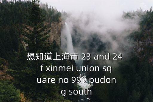 想知道上海市 23 and 24 f xinmei union square no 999 pudong south