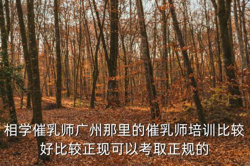相學(xué)催乳師廣州那里的催乳師培訓(xùn)比較好比較正現(xiàn)可以考取正規(guī)的