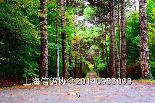 上海信鴿協會201409530935