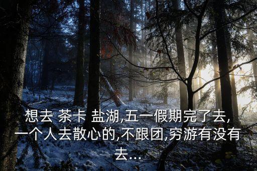 想去 茶卡 鹽湖,五一假期完了去,一個(gè)人去散心的,不跟團(tuán),窮游有沒有去...