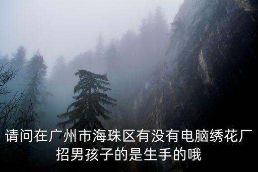 廣州電腦繡花廠招聘，廣州那里招繡花工做到過年的