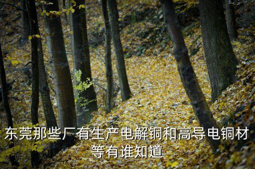 東莞華藝銅業怎么樣，東莞那些廠有生產電解銅和高導電銅材等有誰知道