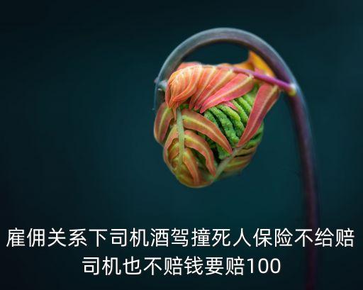 雇傭關系下司機酒駕撞死人保險不給賠司機也不賠錢要賠100