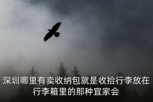 深圳哪里有賣收納包就是收拾行李放在行李箱里的那種宜家會